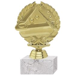 Trofeo Plástico Pool Diseño