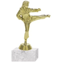 Trofeo Plástico Karate Femenino 2