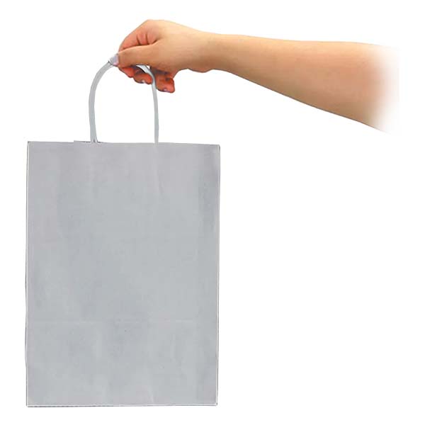 Bolsa Papel Kraft BP10 - Imagen 6