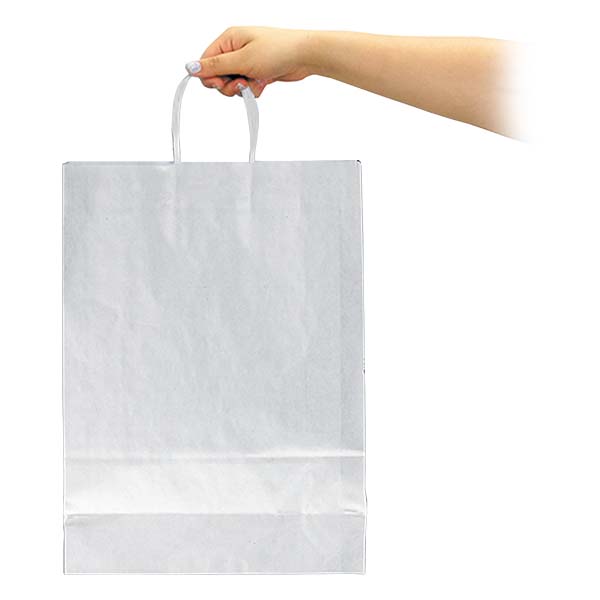 Bolsa Papel Kraft BP12 - Imagen 6