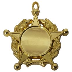 Condecoración Estrella Laurel CON02