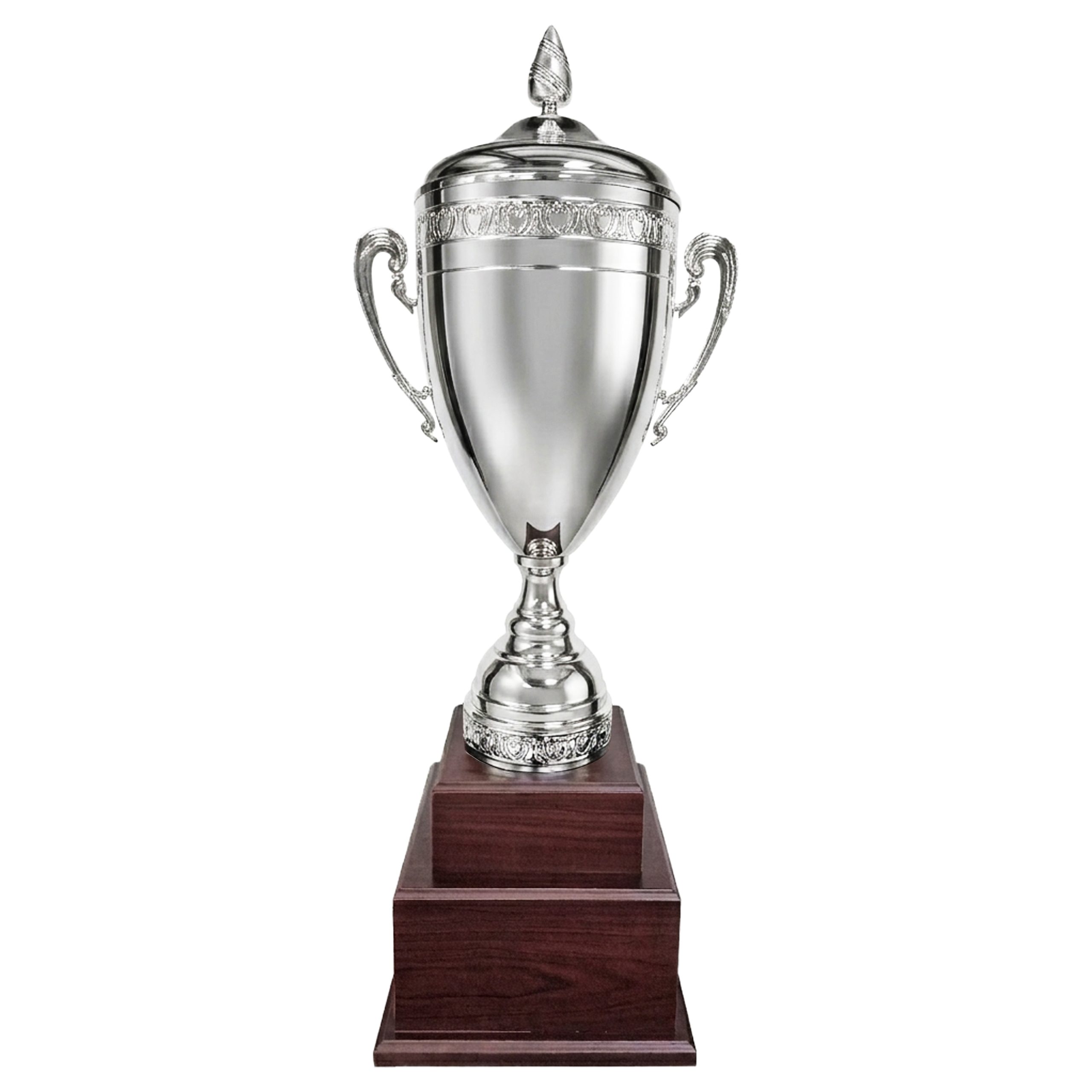 Copa EXP15 - Imagen 2